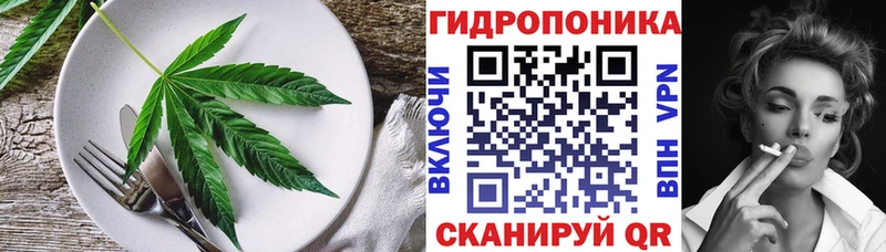 Cannafood конопля Абакан