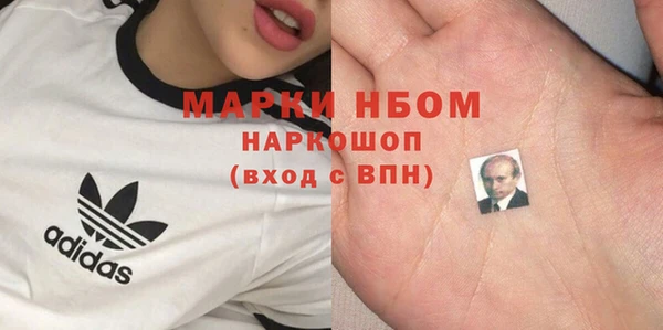 хмурый Алзамай