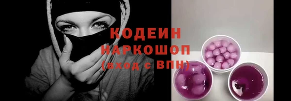 хмурый Алзамай