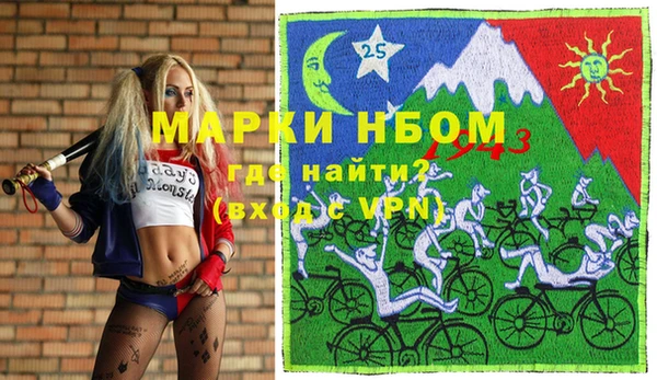 хмурый Алзамай