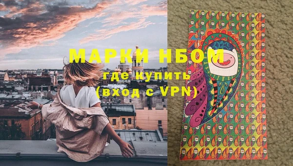 хмурый Алзамай