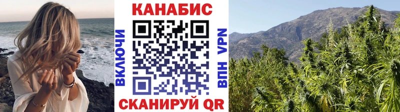 Конопля конопля Абакан